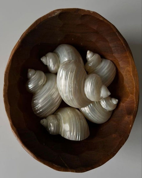 Pearly Shell Gold Earrings