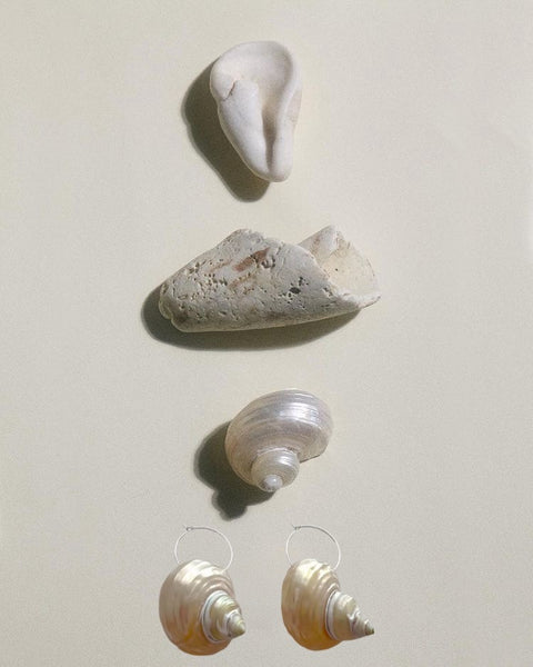 Pearly Shell Gold Earrings