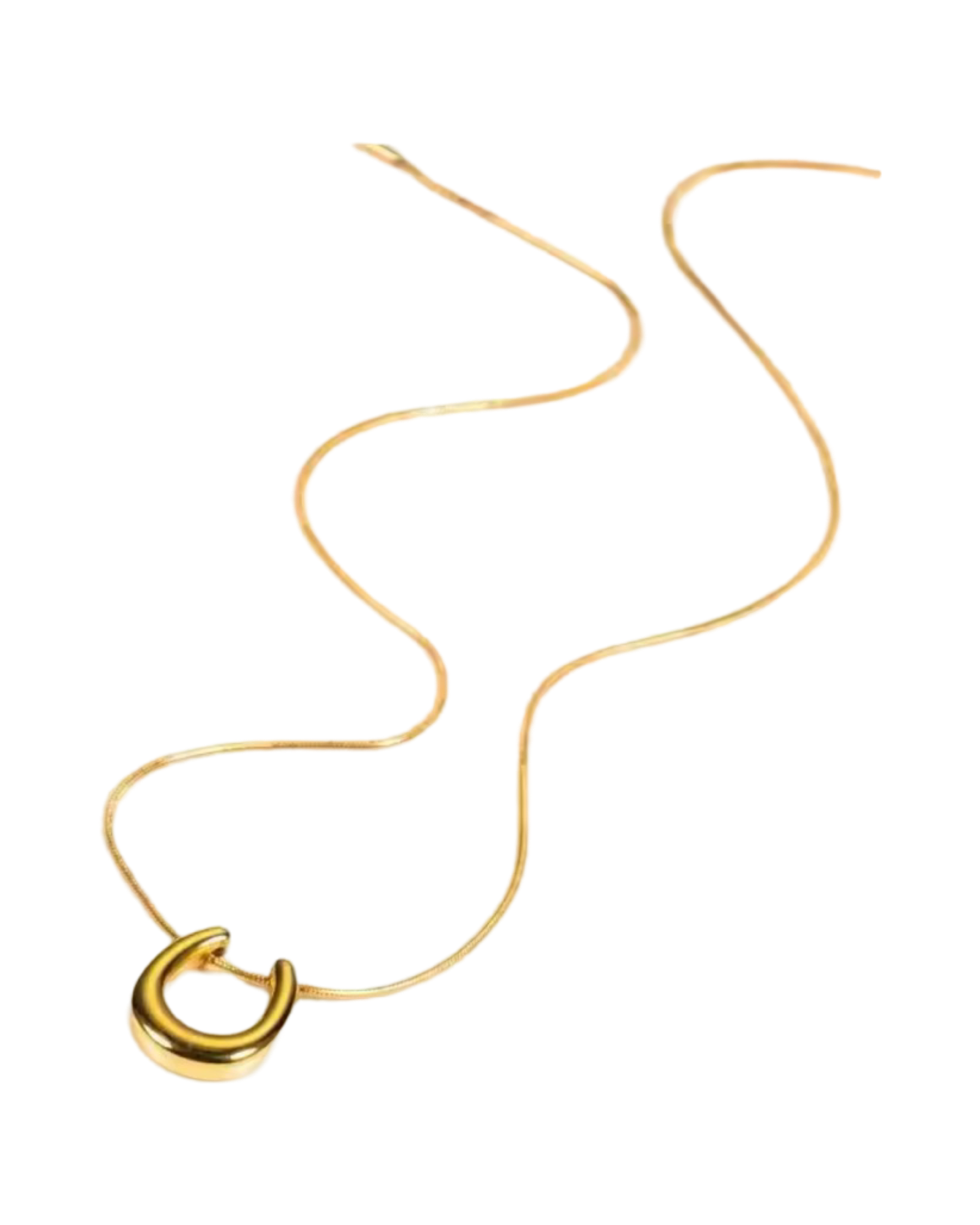 Horseshoe Pendant (18k Gold)