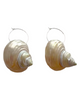 Pearly Shell Gold Earrings