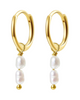 Carli Earrings -24k