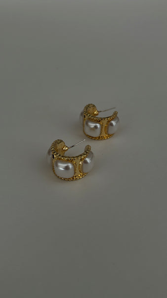 Sample Earrings